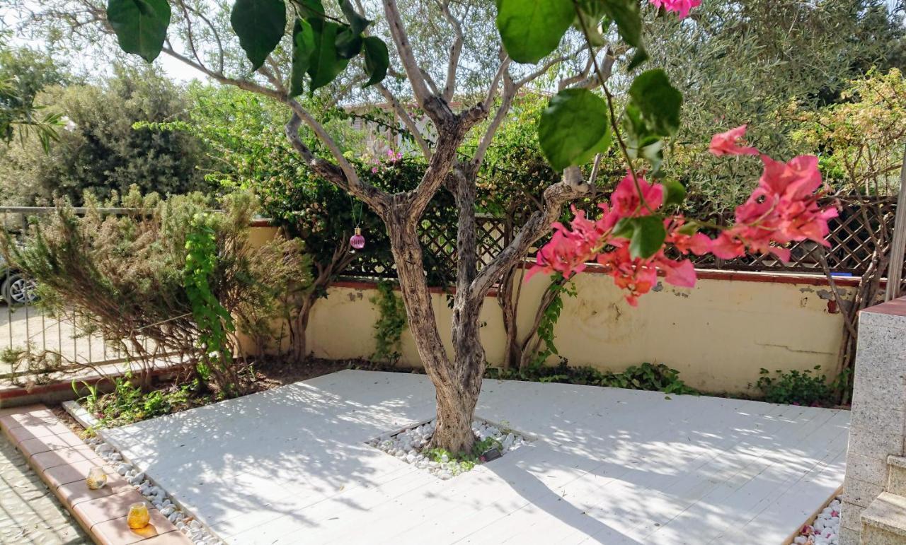 Villa Babai Santa Lucia  Extérieur photo